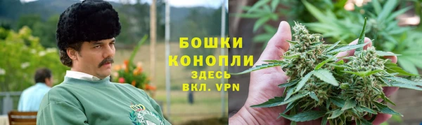 метадон Белокуриха