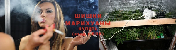 метадон Белокуриха