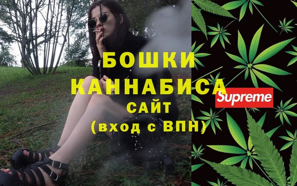 метадон Белокуриха