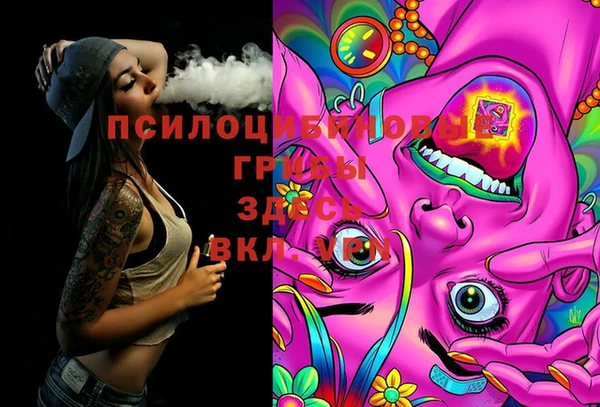 метадон Белокуриха