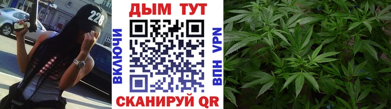 Конопля MAZAR  Онега 